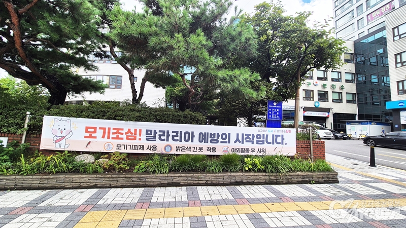 “가을모기도 조심” 양천구, 말라리아 자가진단키트 무료 배부