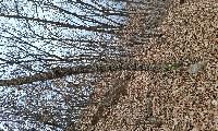 “소설(小雪)의 길목에서, 겨울이 드리우는 따스한 순간들”